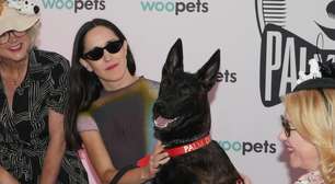Coprodução brasileira 'La Perra' leva Palm Dog em Cannes com o cão Yuri