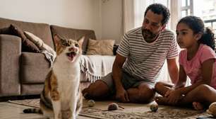 Gato miando muito: o que pode ser e quando se preocupar