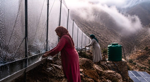 Com o desaparecimento das aldeias e o avanço do deserto, as mulheres em Marrocos escalam montanhas para capturar a neblina e transformá-la em água potável