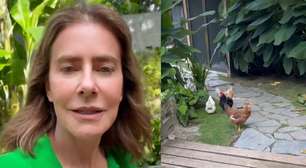 Longe do luxo, Maitê Proença mostra sua vida no campo: 'Galinhas, água limpa e horta'