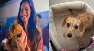 Atriz! Família de cão que estrela em 'Quem Ama Cuida' celebra nas redes sociais