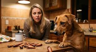 Cachorro pode comer pinhão? Veja riscos e o que fazer se ele ingerir