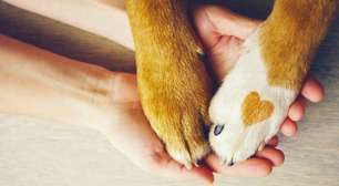 Quer adotar um pet? Veja o que você precisa saber primeiro