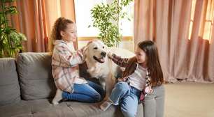 Filho pedindo pet? Saiba quando é a hora certa de adotar um animal