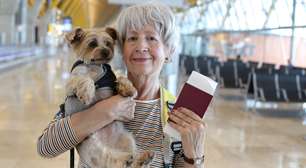 Alerta aos tutores: os cuidados obrigatórios para viajar com animais rumo à Copa do Mundo