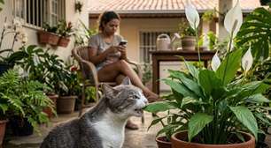 O que parece uma planta inofensiva pode virar um problema para seu gato
