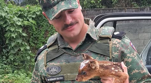 Tenente da PM viraliza ao compartilhar resgates de animais em Minas Gerais