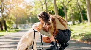 Cachorro não quer passear: veja as causas e o que fazer