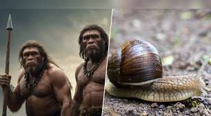 A prova de que neandertais eram mais sofisticados está em uma caverna espanhola
