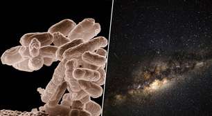 Na busca pela vida no espaço, cientistas alertam para um novo problema: os falsos negativos