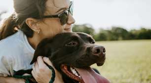 Seu cachorro fica descontrolado toda vez que vê você sair de casa; mas a ciência tem uma solução