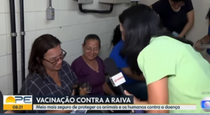 Pinscher rouba a cena em entrevista ao vivo sobre vacinação contra a raiva; veja vídeo