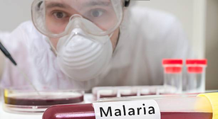 Vírus da malária está se tornando resistente a inseticidas