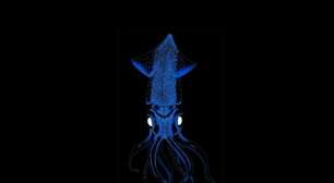 Iluminação viva nas cidades: como microalgas e organismos bioluminescentes podem mudar a energia urbana e o clima do planeta