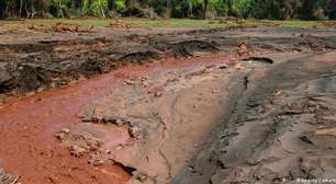 Julgamento na Alemanha sobre Brumadinho avança