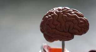 Encontramos um "interruptor" oculto do Alzheimer. E o melhor é que temos candidatos promissores para desligá-lo