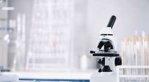 Genes da regeneração em humanos? O que a ciência realmente sabe sobre reconstrução de membros e medicina do futuro
