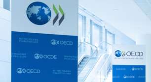 OCDE vê oportunidade para Brasil e América Latina com demanda mundial por terras raras