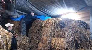 Operação mira furtos de tabaco e fiscaliza mais de 38 toneladas de produto no RS