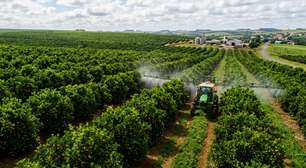 Gulf participa da Bahia Farm Show com produtos certificados
