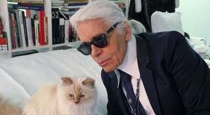 Herança bloqueada: gata de Karl Lagerfeld, Choupette, hoje com 14 anos, ainda não recebeu fortuna bilionária do estilista; R$ 8,7 milhões não foram pagos e pet troca mansão por apartamento em Paris