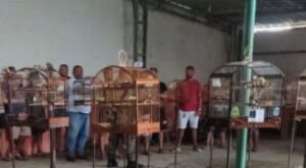Polícia detém 16 pessoas e encerra torneio ilegal de aves silvestres em Jaboatão (PE)