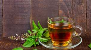 Chá de manjericão: os benefícios da bebida aromática que vai além do sabor