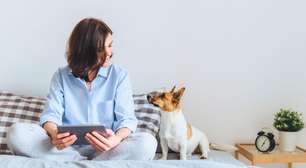 Socialização: como o dia a dia molda o comportamento dos pets