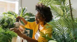9 plantas que nossos pais tinham no quintal e fazem falta em apartamentos