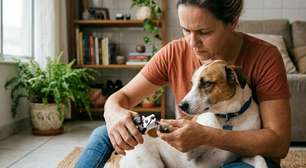 Pode cortar a unha do cachorro em casa? Antes de tentar, saiba isto
