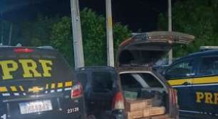 Polícia detém 16 pessoas e encerra torneio ilegal de aves silvestres em Jaboatão (PE)