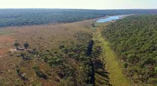 Pesquisadores encontram espécies até então desconhecidas em um dos territórios menos explorados da África
