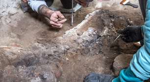 Esqueleto de equino é encontrado durante escavações em Pompeia
