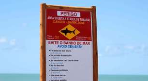 O paraíso das praias de Recife esconde um abismo de segurança entenda como a própria geografia da região atrai tubarões para a costa