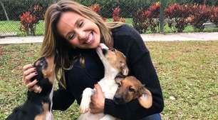 O que diz a psicologia sobre as pessoas que estão sempre acariciando os cães na rua