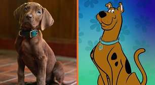 Netflix revela aparência do Scoob-Doo de carne e osso em nova série da plataforma