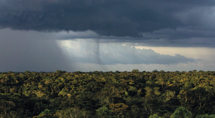 Mudanças climáticas estão tornando regime de chuvas na Amazônia mais sensível ao desmatamento