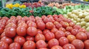 Dos molhos às saladas: como escolher o tomate certo?