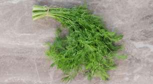 Ouro vegetal: o segredo verde que ajuda a reduzir o inchaço