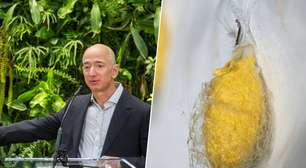 Fibras fabricadas por bactérias e algodão que já nasce colorido: Jeff Bezos investe US$ 34 milhões em pesquisas para desenvolver tecidos sustentáveis