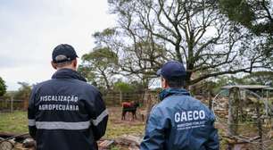 Operação mira esquema de lavagem de dinheiro do tráfico e bloqueia mais de R$ 100 milhões no RS