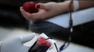 Mitos sobre doação de sangue afastam pessoas que poderiam salvar vidas