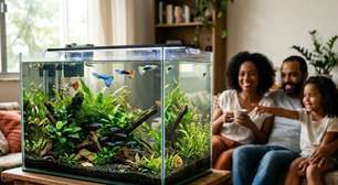 Pensando em montar um aquário? Conheça 9 peixes indicados para iniciantes