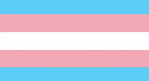 Clarice: A jornada de uma mulher trans em busca de dignidade