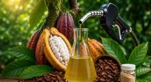 FEI transforma casca de cacau em biocombustível