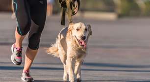 Descubra os benefícios de levar o cachorro para correr com você