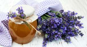 Cansou de relações tóxicas? Rituais com mel e lavanda ajudam a manifestar um romance saudável