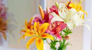 Flores Diferentes para Surpreender no Dia dos Namorados