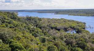 Desmatamento na Amazônia cai 61,4% em maio de 2026