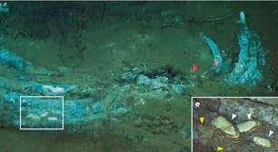 Cientistas descobrem cemitério de baleias no Oceano Índico a mais de 7 mil metros de profundidade